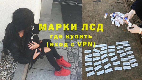ешки Алексин