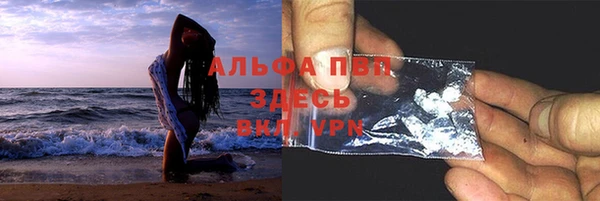 ешки Алексин
