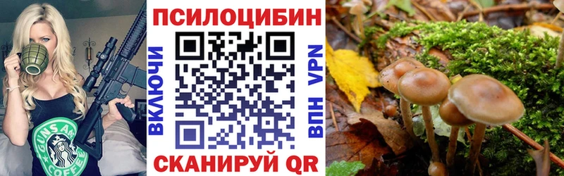 Галлюциногенные грибы прущие грибы  Камышлов 