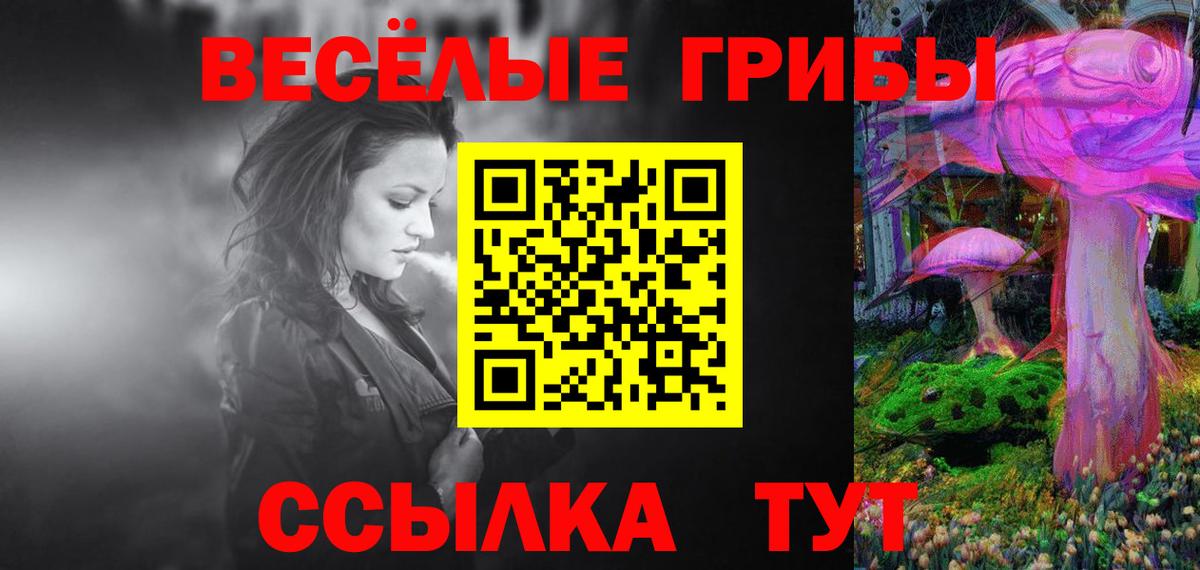 Галлюциногенные грибы Magic Shrooms  Вход с VPN  Камышлов 