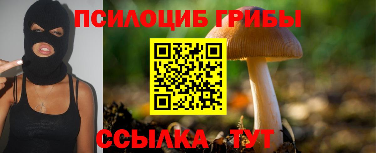 Галлюциногенные грибы мицелий Камышлов